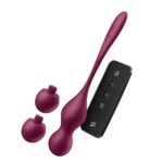 Satisfyer Love Birds Vary Connect App