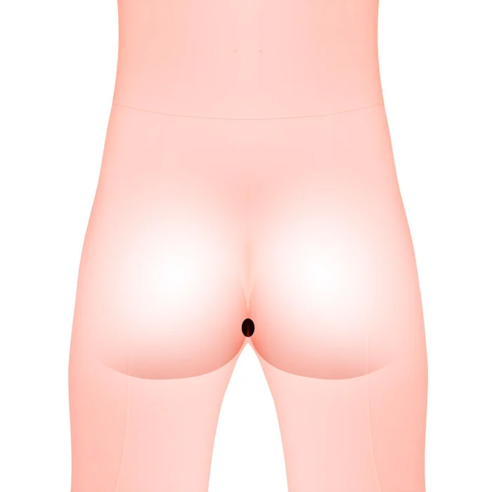 sx2158 53371721941429