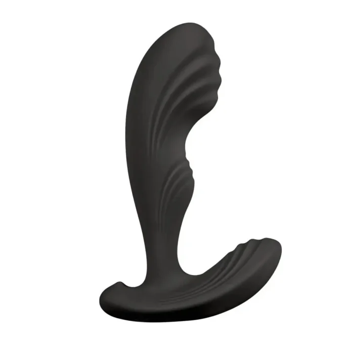 sx1613 67696276258644