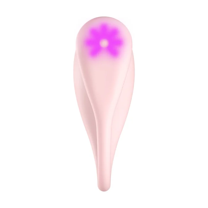 sx2241 85988991965612