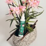 Гель-лубрикант Goliate Gel Lubrifiant Intime, 100 мл, екстракт червоних водоростей, веган-френдлі - Зображення 5