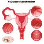 Мастурбатор Kokos 004 Vailla ONAHOLE Real Vagina - Зображення 6