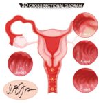 Мастурбатор Kokos 004 Vailla ONAHOLE Real Hips 2WayPlus з вібрацією та масажем - Зображення 2